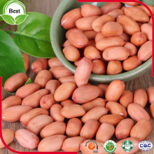 2016 New Crop Red Skin Peanut Kernel